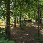 Maison De Charme Avec Sa Piscine Сasa de vacaciones Limeyrat