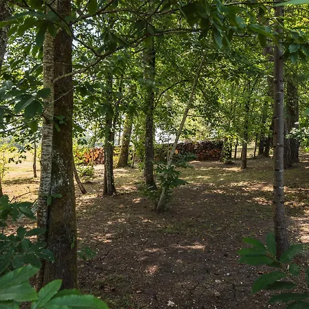 Maison De Charme Avec Sa Piscine