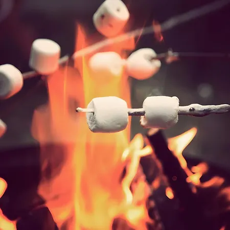 Maison De Charme Avec Sa Piscine *