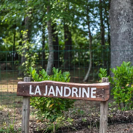 Maison De Charme Avec Sa Piscine * Limeyrat