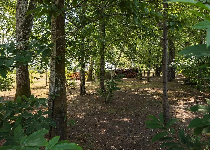 Maison De Charme Avec Sa Piscine
